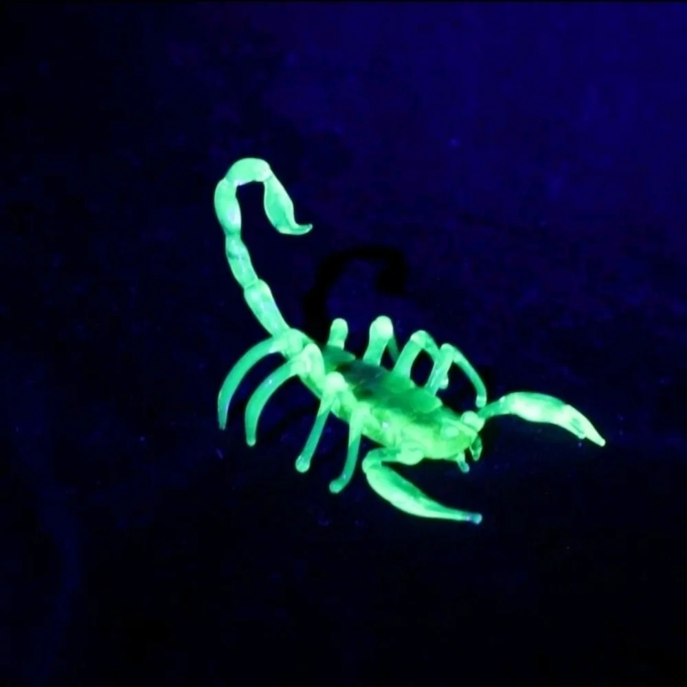 Glowing Green Scorpion Reptile Decor